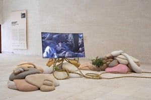 nabbteeri, 'Ethnographies of a homespun spinelessness cult and other neighbourly relations' (2019). Exhibition view: Ane Graff, Ingela Ihrman, nabbteeri, 'Weather Report: Forecasting Future', Nordic Pavilion, Giardini, The 58th International Art Exhibition – la Biennale di Venezia 'May You Live in Interesting Times' (11 May–24 November 2019). Courtesy Finnish National Gallery. Photo: Pirje Mykkänen.